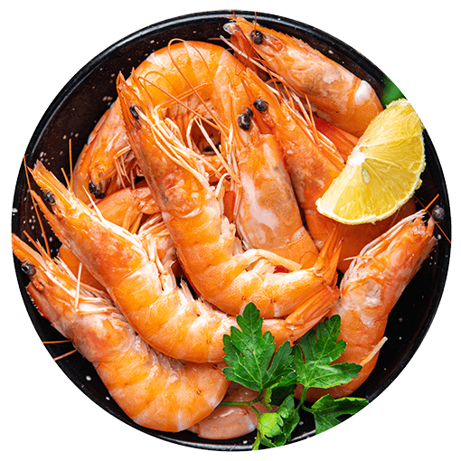Shrimp Food Prawns